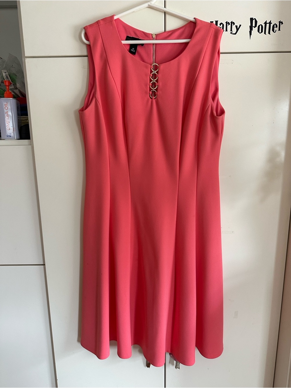 Alyx Coral-Pink Sleeveless A-Line Dress with Gold Chain Accent
